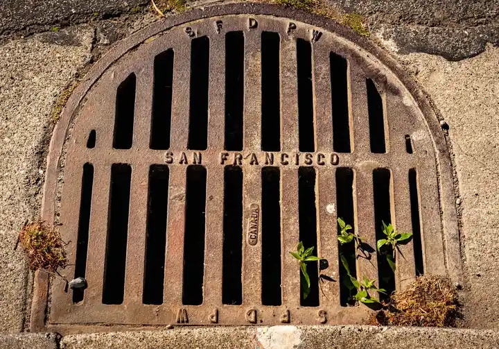 Residential Drain Repair